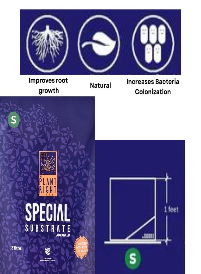 ركيزة خاصة من سلسلة "ذا بلانت رايت" | نباتات مائية نابضة بالحياة | الحل الأمثل لعشاق تنسيق أحواض السمك (2 لتر - صغير) - Image 3